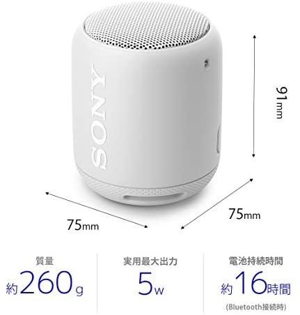 Sony srs hot sale xb10 white